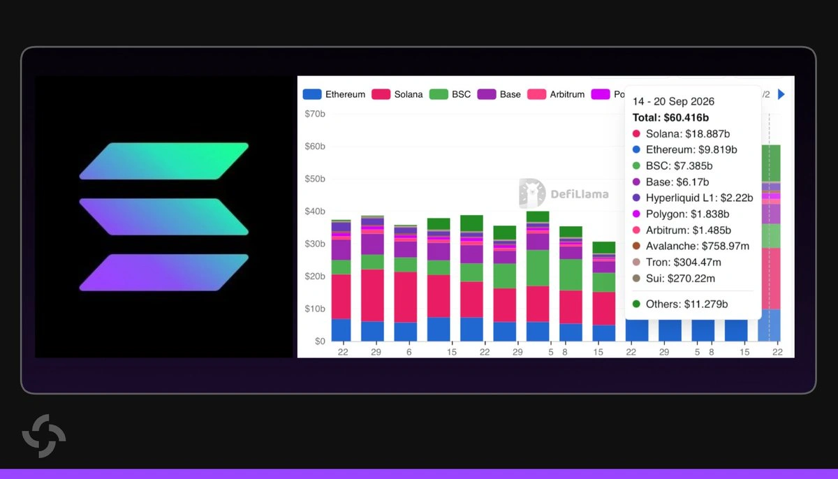 Solana DEX activity growth