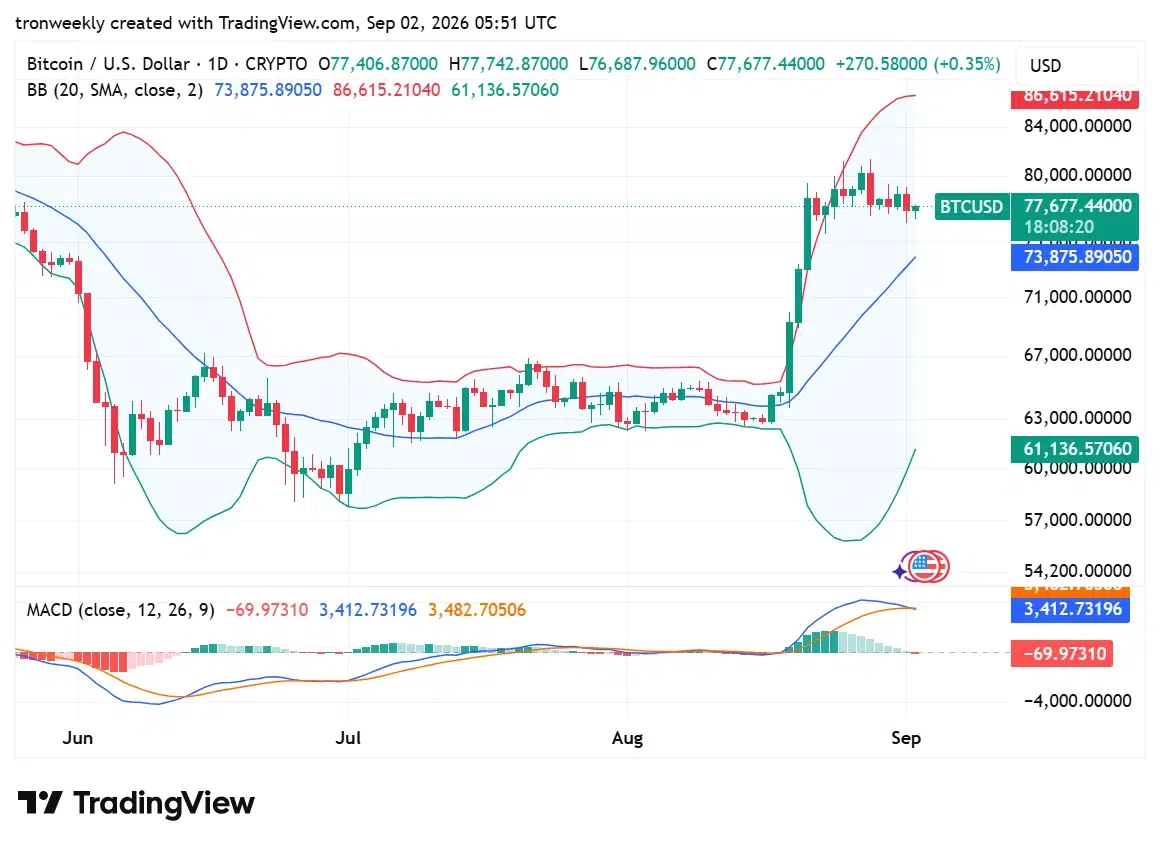 BTC technical analysis chart