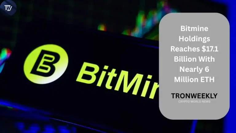 Bitmine Holdings