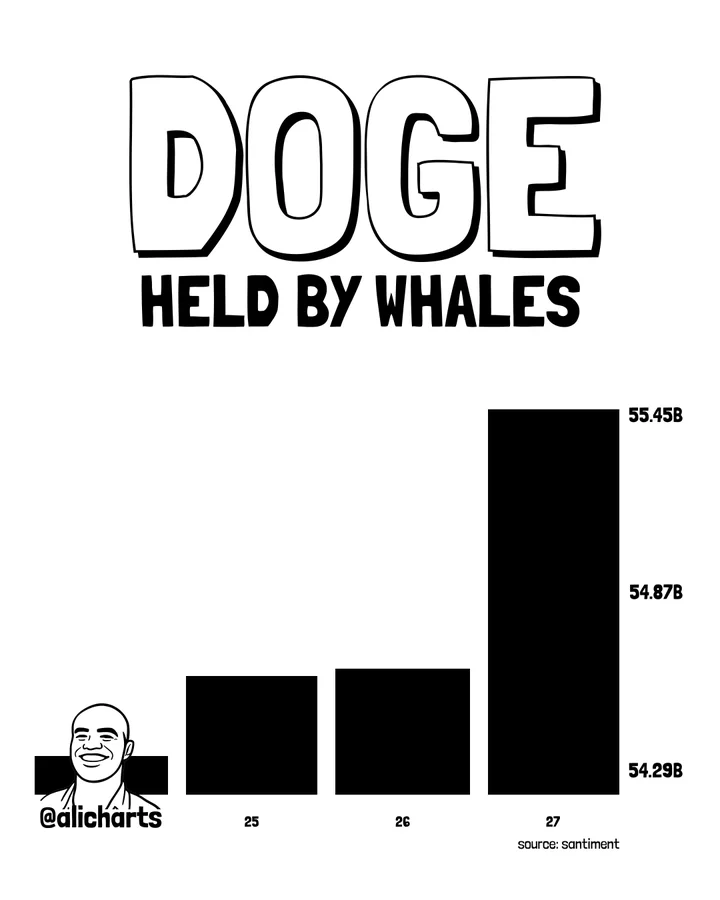 DOGE whale buying