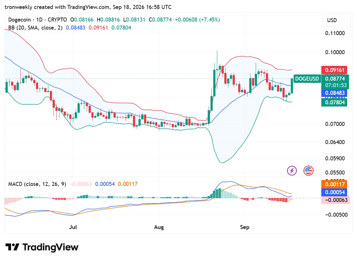 DOGE technical analysis chart
