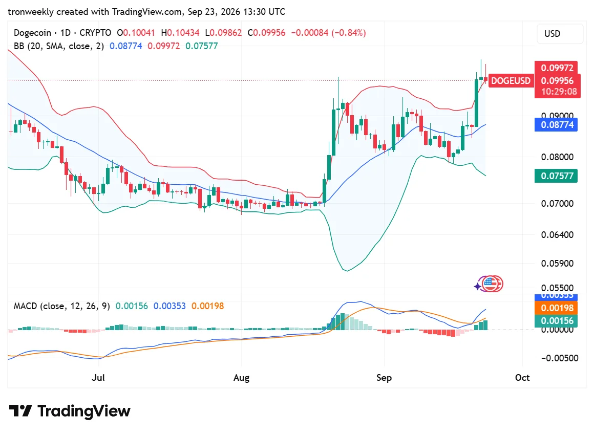 DOGE technical analysis chart