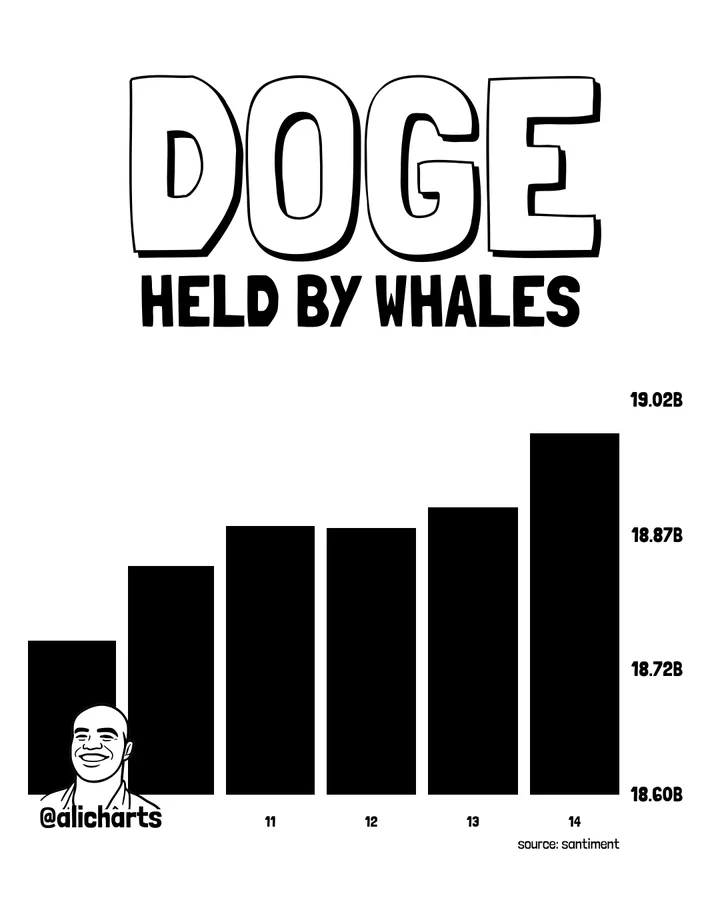 DOGE Whale accumulation chart