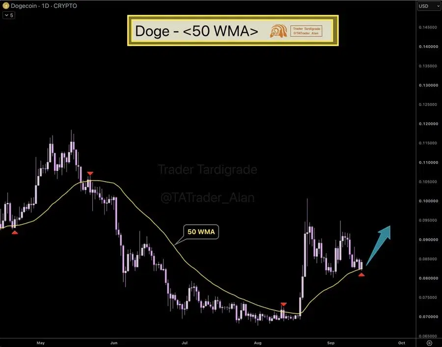 DOGE 50 WMA chart