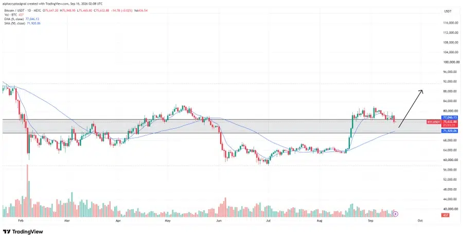 BTC price chart