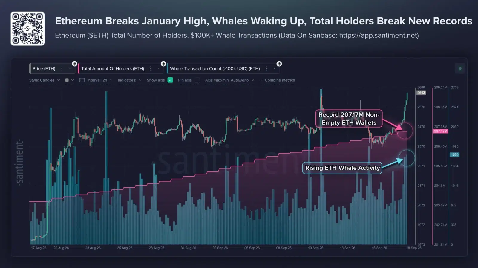 Ethereum whale transaction