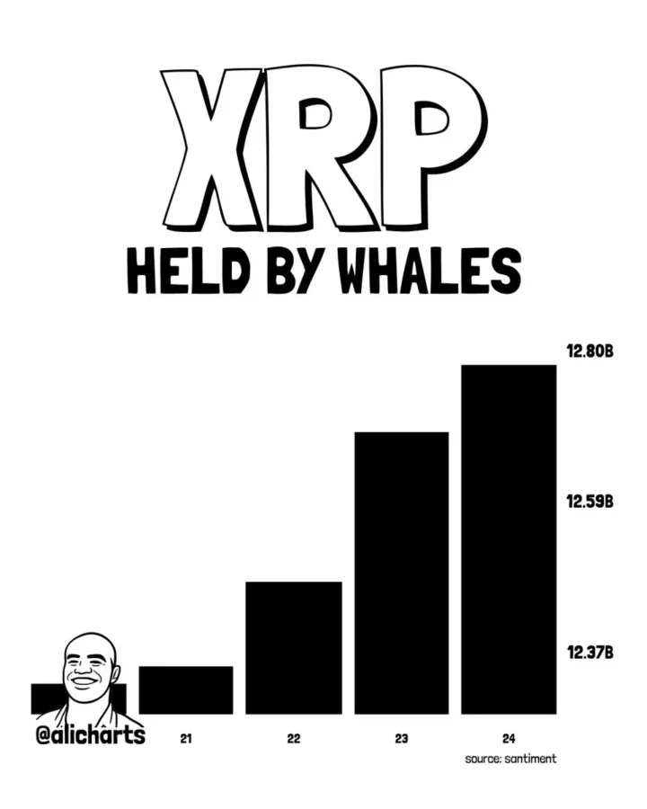 XRP whale