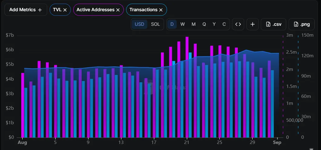 Growth Is Clear in Several Metrics