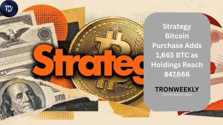 Strategy Bitcoin Purchase