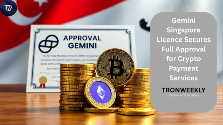 Gemini Singapore Licence