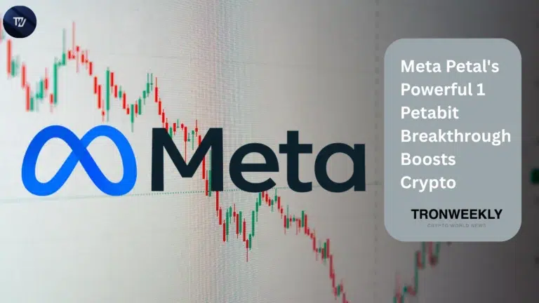Meta Petal's Powerful 1 Petabit Breakthrough Boosts Crypto