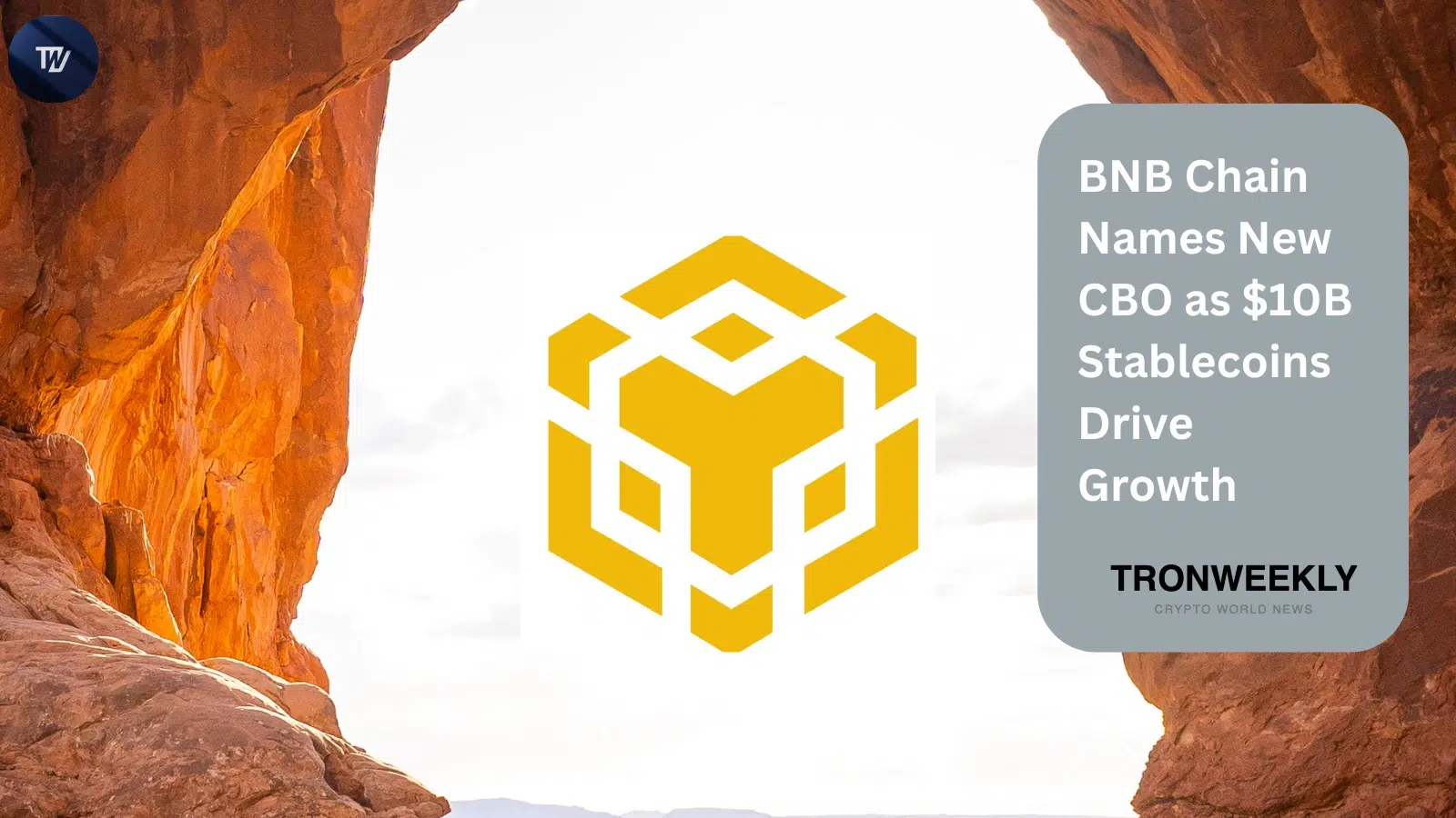 BNB Chain Names New CBO as $10B Stablecoins Drive Growth
