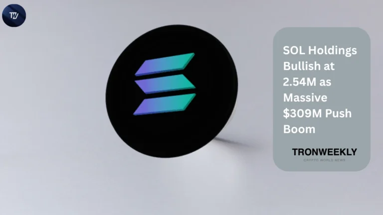 SOL Holdings Bullish at 2.54M as Massive $309M Push Boom