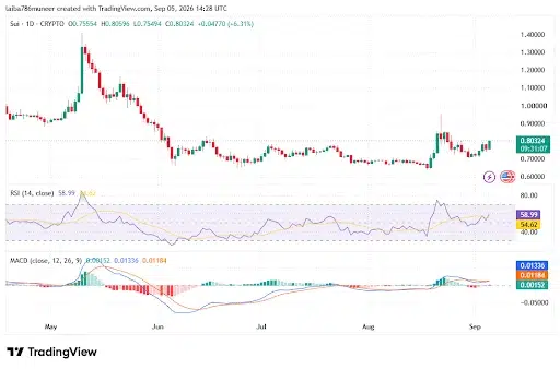 Momentum Indicators Point to Recovery Attempt