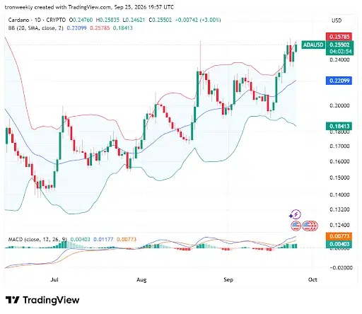 Technical Indicators Point to Rising Market Activity