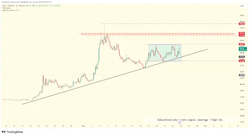 DASH Price Consolidates Below Key Resistance