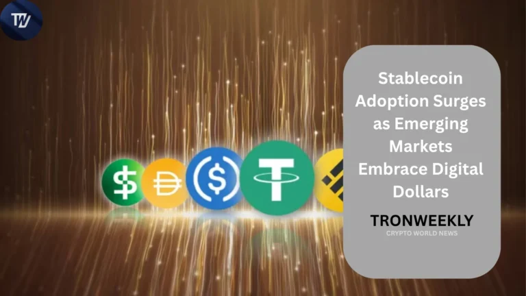 Stablecoin Adoption
