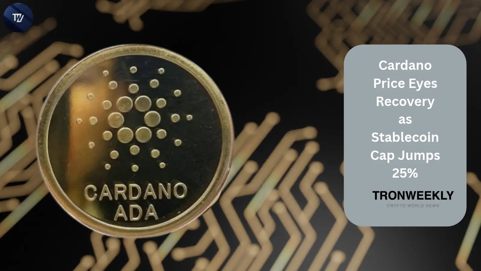 Cardano price