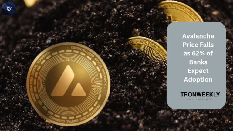Avalanche price