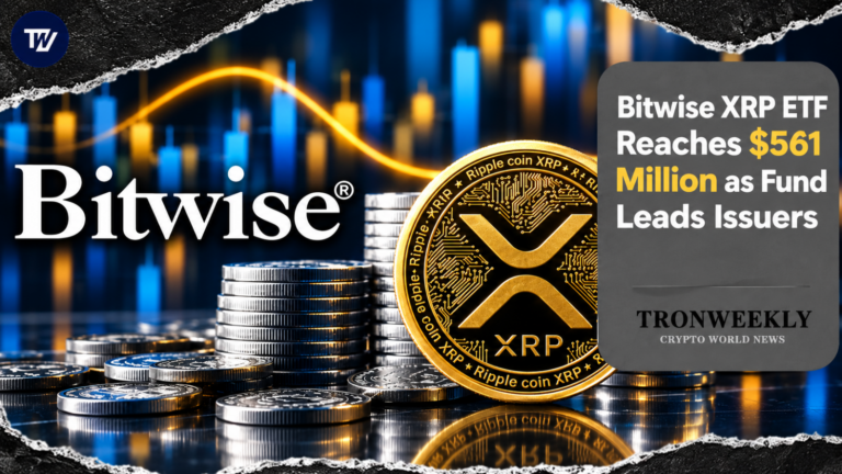 Bitwise XRP ETF Reaches $561 Million as Fund Leads Issuers