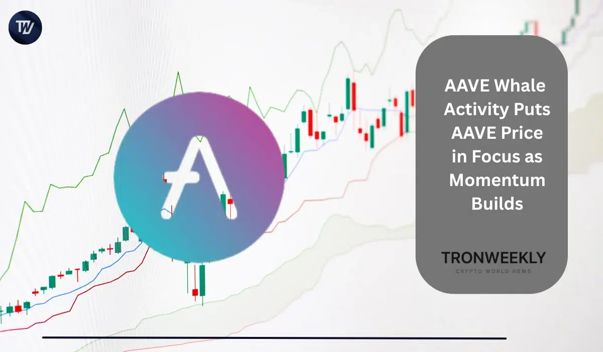 AAVE Whale Activity Puts AAVE Price in Focus as Momentum Builds