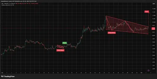What Does the Technical Setup Show?